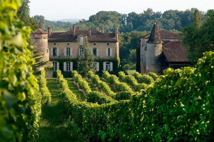 Photo du domaine avec vue sur les vignes et le château